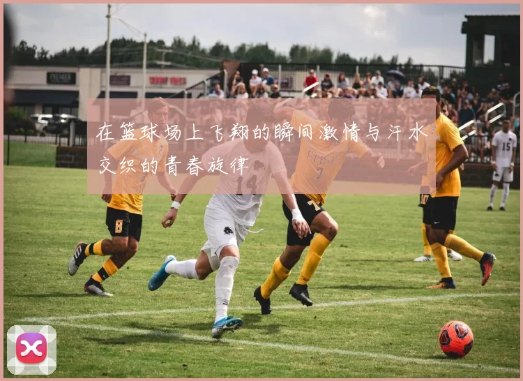 在篮球场上飞翔的瞬间激情与汗水交织的青春旋律