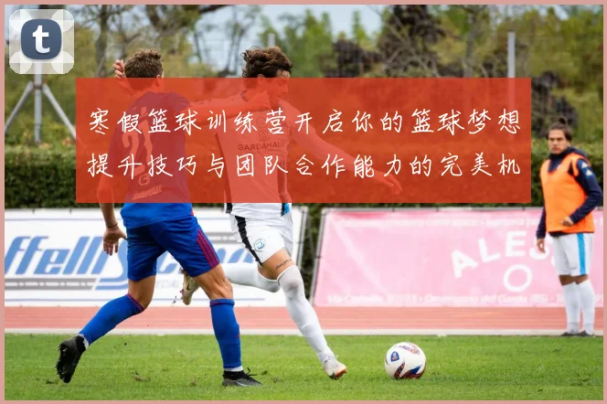 寒假篮球训练营开启你的篮球梦想提升技巧与团队合作能力的完美机会