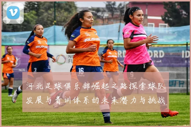 河北足球俱乐部崛起之路探索球队发展与青训体系的未来潜力与挑战