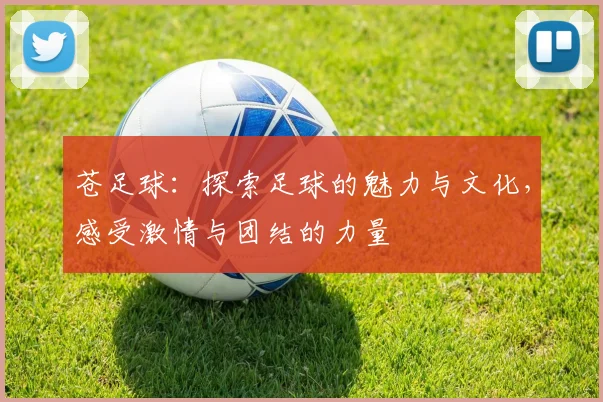 苍足球：探索足球的魅力与文化，感受激情与团结的力量