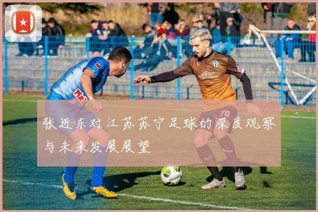 张近东对江苏苏宁足球的深度观察与未来发展展望